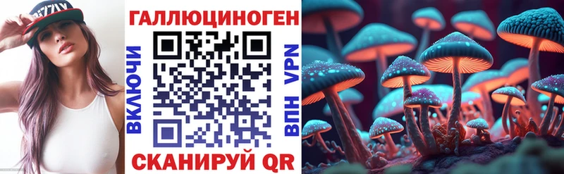 Псилоцибиновые грибы мицелий  Кашира 