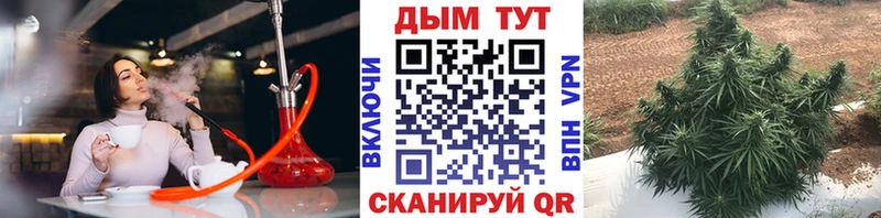 МАРИХУАНА VHQ  Кашира 